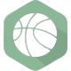 home team logo