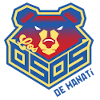away team logo