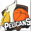 home team logo