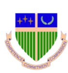 home team logo