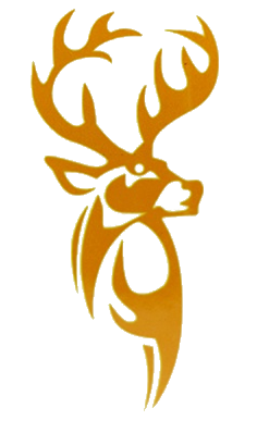 home team logo