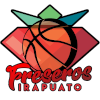home team logo