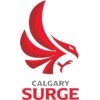 away team logo