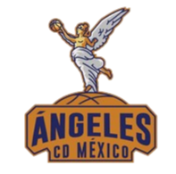 home team logo