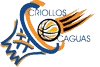 home team logo