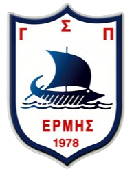 home team logo