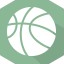 home team logo
