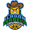 home team logo