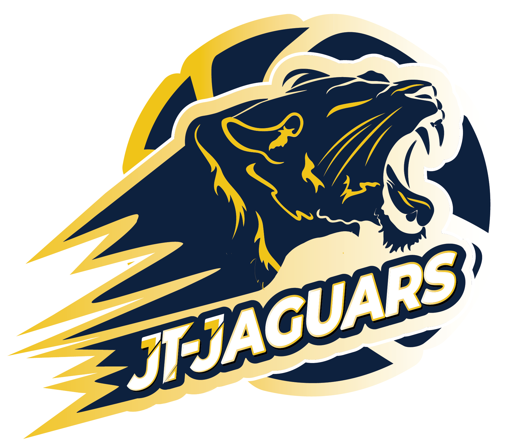 home team logo