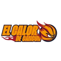 home team logo