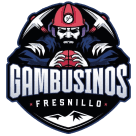 home team logo