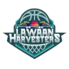 home team logo