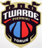 home team logo