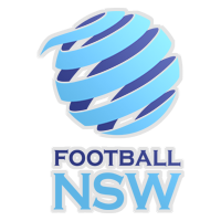 fnscore logo icon