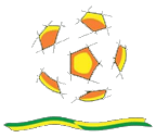 fnscore logo icon