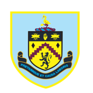 home team logo