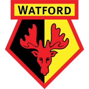 home team logo