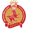 home team logo