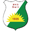 home team logo