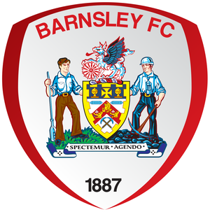 home team logo