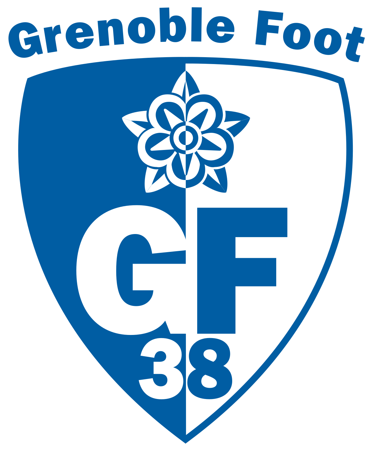 home team logo