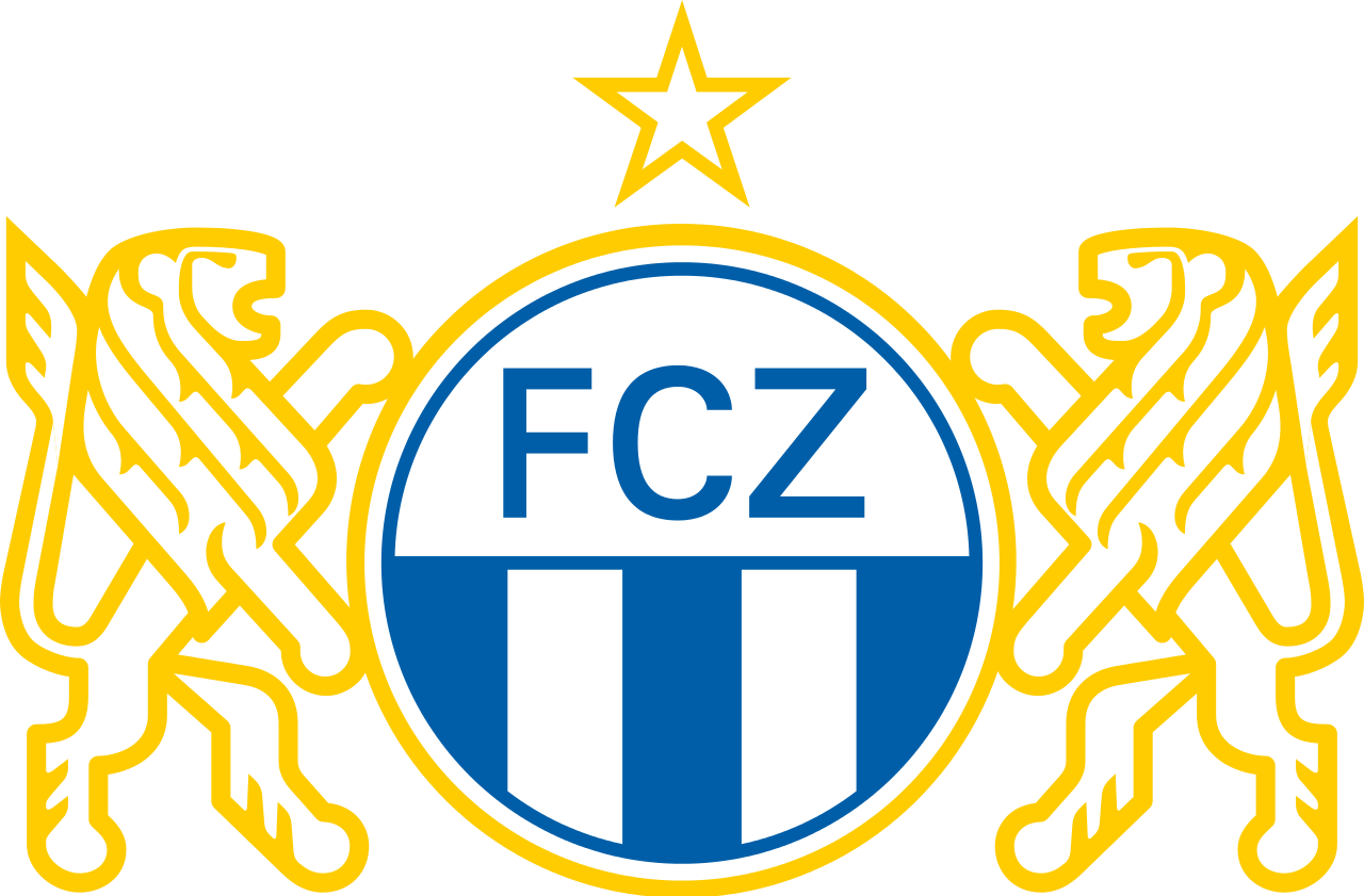 home team logo