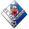 home team logo