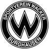 home team logo