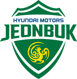 home team logo