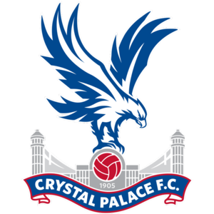 home team logo