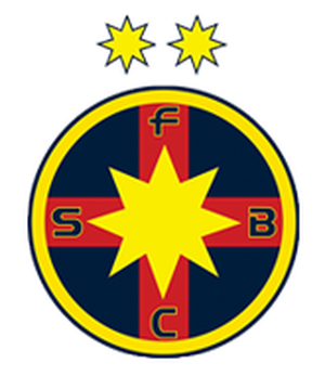 home team logo