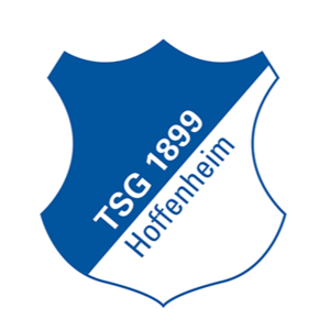 home team logo