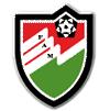 home team logo