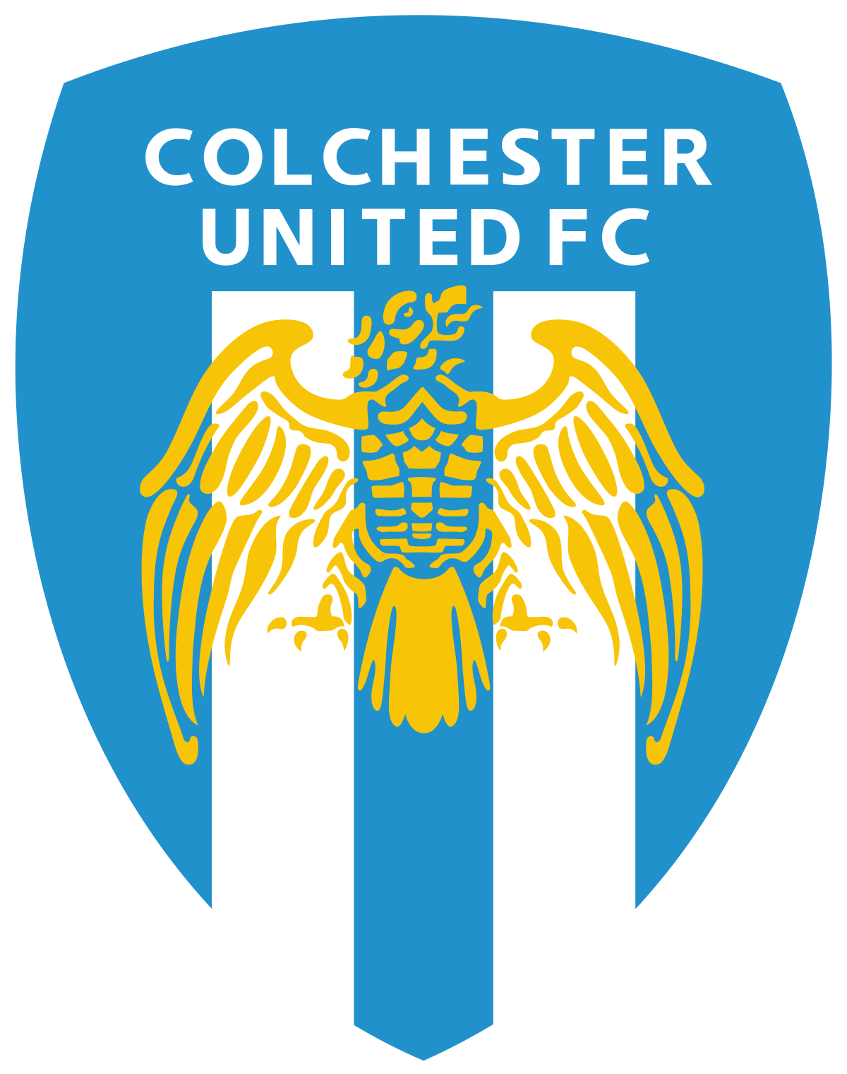 home team logo
