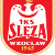 home team logo