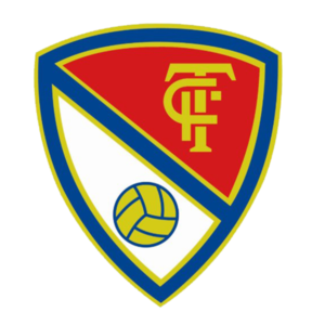 home team logo