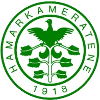 home team logo