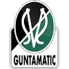 home team logo