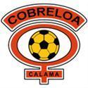 home team logo
