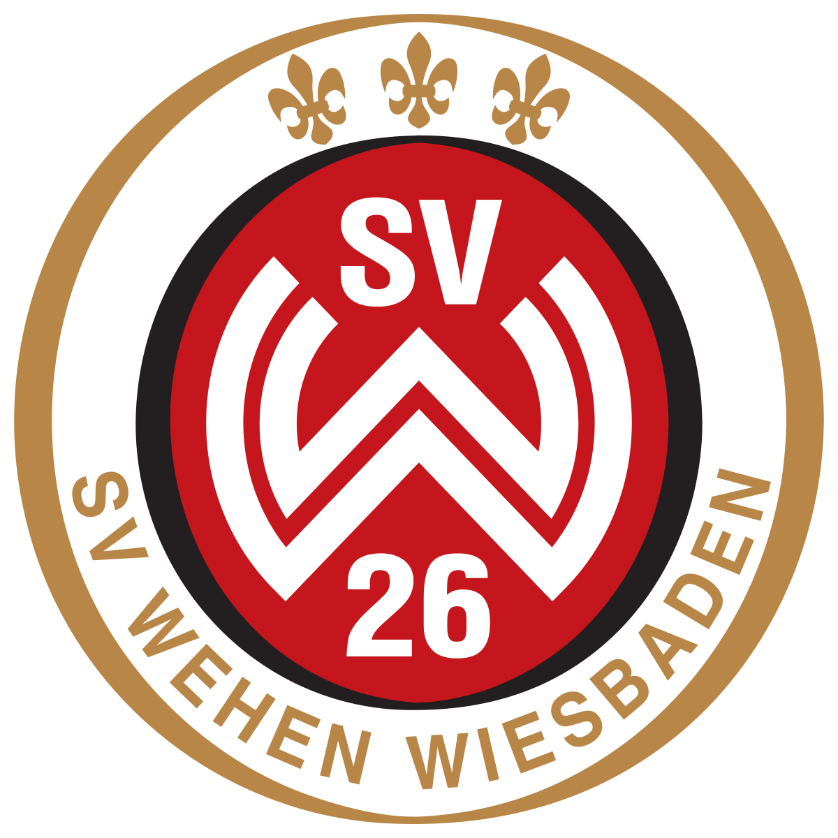 home team logo