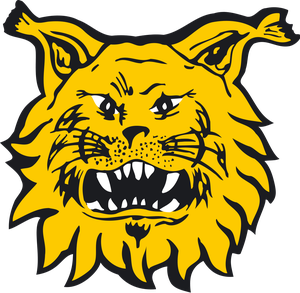 away team logo