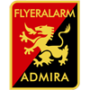 home team logo