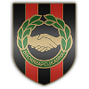 home team logo