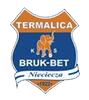 home team logo