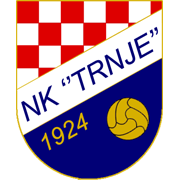 home team logo
