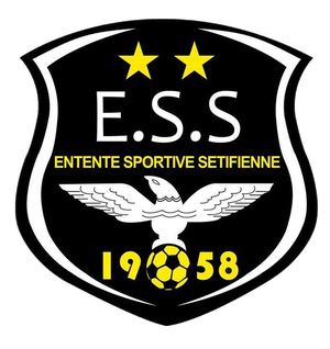 home team logo