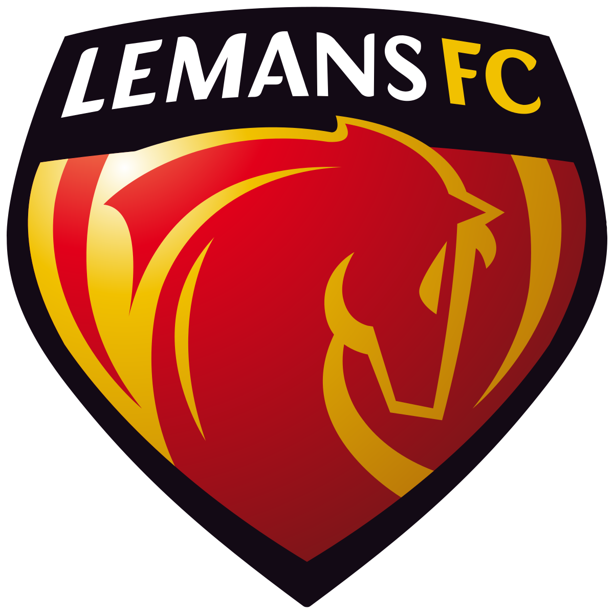home team logo