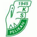 home team logo