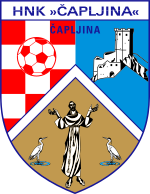 home team logo