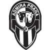 home team logo
